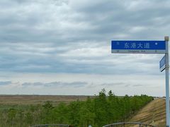 -南汇嘴观海公园