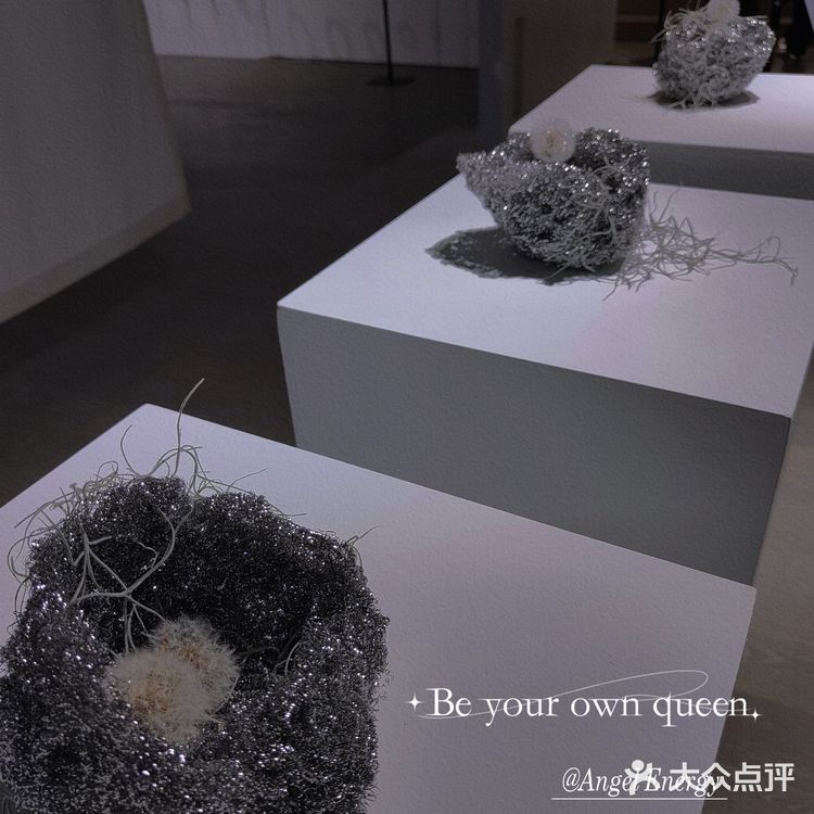 【深圳看展】高级感满满的cbd花展,周末安排,再不去就闭展了