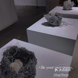 【深圳看展】高级感满满的cbd花展，周末安排，再不去就闭展了