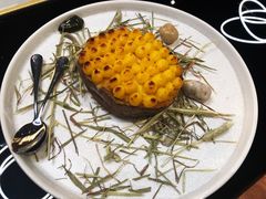 -鼎鼎西餐厅