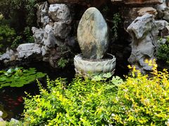 -上海醉白池公园