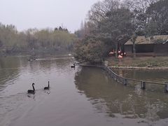 -扬州市茱萸湾风景区