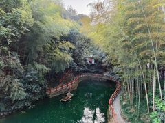 -十八棵（老龙井）御茶园(老龙井店)