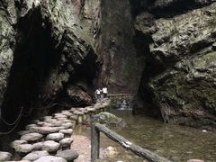 -牛背梁国家森林公园