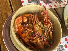 -TOMATITO(无限极荟店)