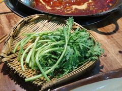 -楠火锅(哈尔滨金爵万象店)