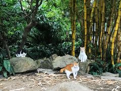 -晓港公园
