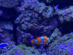 -成都浩海立方海洋公园