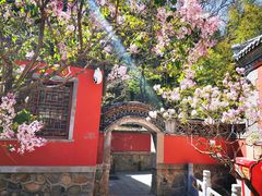 -潭柘寺景区