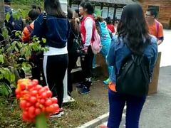 -天女山森林公园