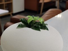 -妞妞家(银通店)