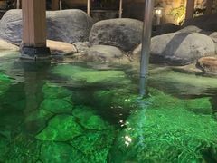 -大江户·温泉洗浴(浑南店)