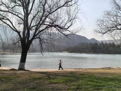 -黄河小浪底水利枢纽风景区