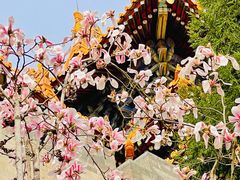 -东华门大街小区