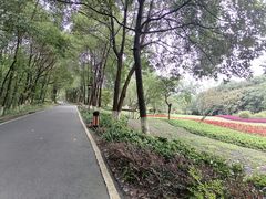 -富乐山