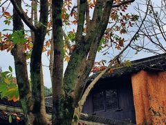 -秦岭风景区