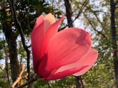 -广州市流溪河国家森林公园