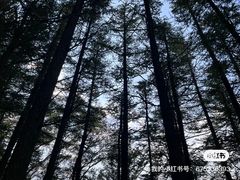 -白草畔自然风景区