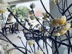 -悦哉·派对·草坪婚礼·围炉煮茶(三圣乡店)