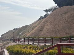 -燕儿岛山公园