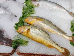-宝燕壹号(徐汇店)