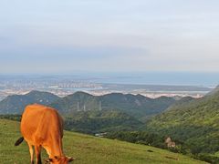 -大姆山草场