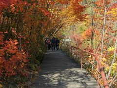 -丹东天桥沟景区