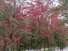 -九鼎铁刹山风景区