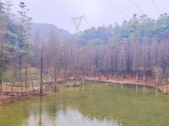 -广州市帽峰山景区