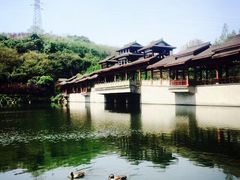 -重庆彩云湖湿地公园