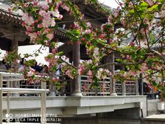 -海棠花溪(元大都城垣遗址公园)