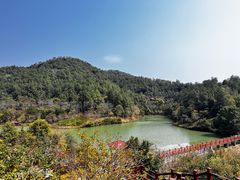 -广州白江湖森林公园