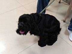 -宠福鑫动物医院(城北分院)