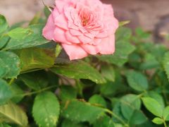 -瓦库茶馆17号(海汇港店)