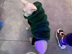 -极木²邸 人与宠物·互动社区