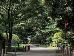 -东京国立博物馆