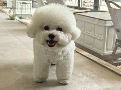 -J Create城市露营咖啡·简餐·宠物(上海动物园店)