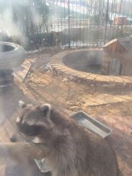 -萌宠亲子动物乐园(槐房万达店)