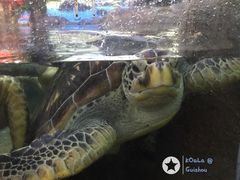 -鸿通城购物中心