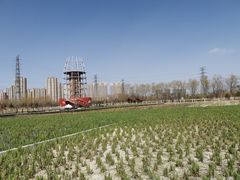 -永定河休闲森林公园