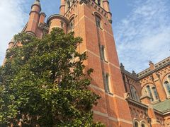 -上海佘山国家森林公园西佘山园