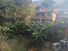 -杨家堂村