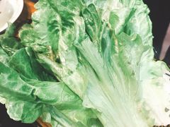 -三里屯土灶炖公鸡地锅鸡(江东店)