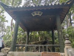 -桃园酒店