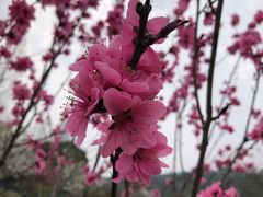 -苏州上方山国家森林公园