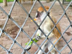 -水上乐园·欢乐世界