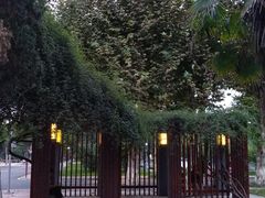 -四川大学(望江校区)