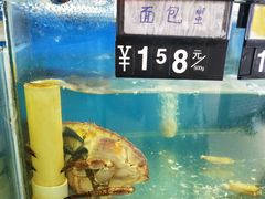 水产区-地方名吃海鲜大馅蒸饺(北戴河店)