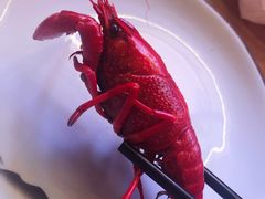 -蚝翅·海鲜粥·烧烤·宁夏滩羊季(玉米楼店)