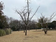 -渤公岛生态公园